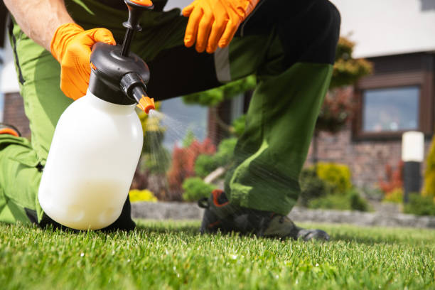 Best Flea Control Services  in Red Oaks Mill, NY