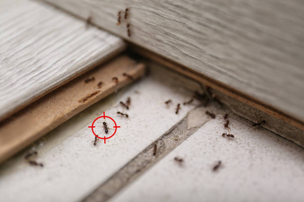 Best Pest Removal Services  in Red Oaks Mill, NY