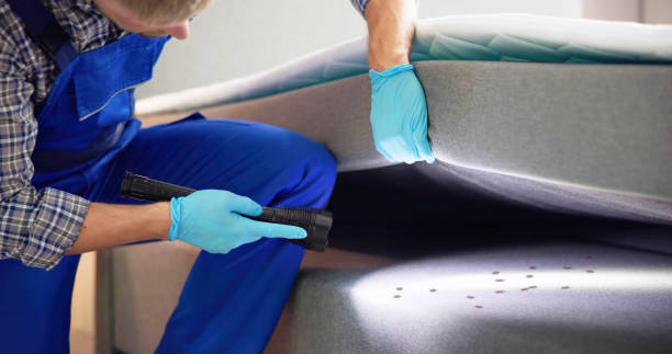 Best Bed Bug Extermination  in Red Oaks Mill, NY