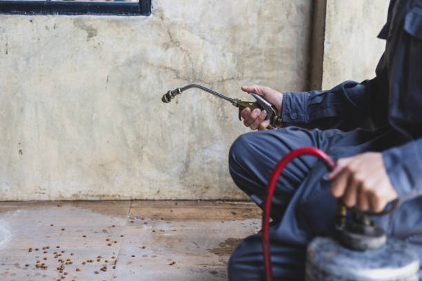 Best Termite Control Services  in Red Oaks Mill, NY
